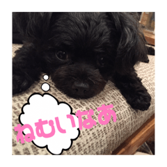 chiharu_20190319223857