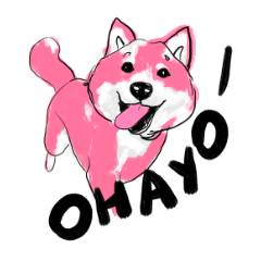 Shiba Inu Sakura pink Hanami cute dog
