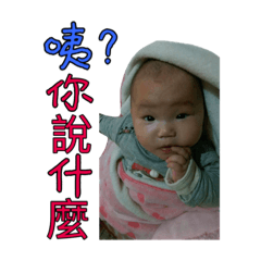雅人欣致