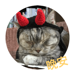艾米表情貼