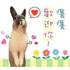 我是癢癢 I'm癢癢