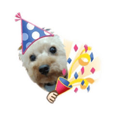 niu_puppy