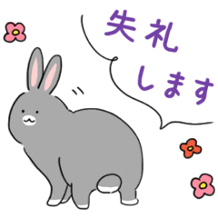 Gray rabbits <honorific>