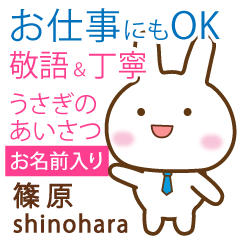 [SHINOHARA]Polite greeting. Rabbit