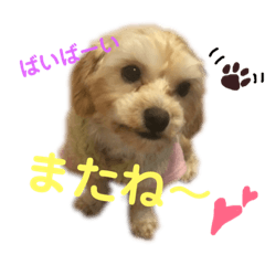 morico_20190320181254