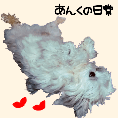 Daily sticker of pet dog Anku