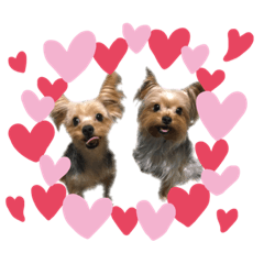 DAI_20190321000646