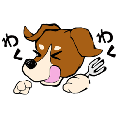 Jack Russell Terrier maron