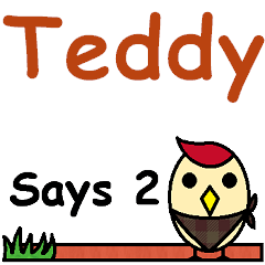 Teddy Says 2