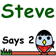 Steve Says 2