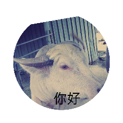 動物王國