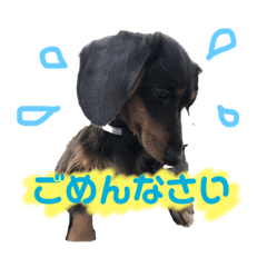 haruna_20190321151010