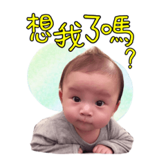 樂樂新世界