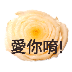 心情白菜玫瑰 Mood of cabbage roses