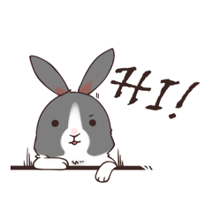 Rabbit's happy life, Hua-Hua and -Shuei