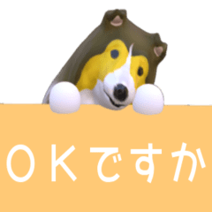 Shetland Sheepdog animation vo2