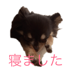 mo_20190321163020