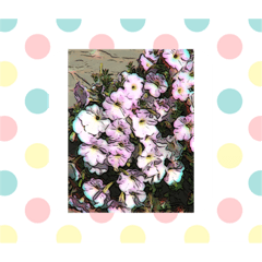 G_20190321123428