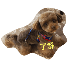mori_20190321174118