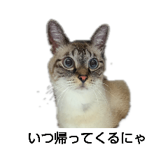 hinata_20190321183155