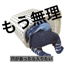 suu_201919