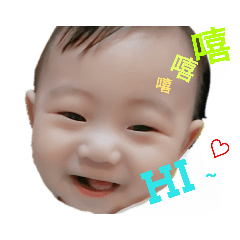 小龍哥寶貝