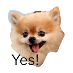 mimiponchan