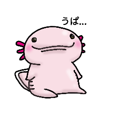 ウーパールーパーのうぱお - LINE スタンプ | LINE STORE