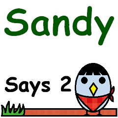 Sandy Says 2