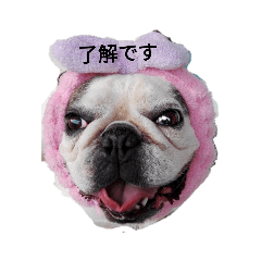 kurumi_20190322013659