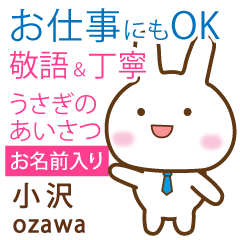 [OZAWA]Polite greeting. Rabbit