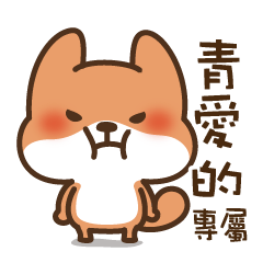 House shelter fox-Qing Ai