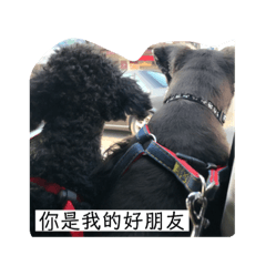黑嚕嚕飯糰