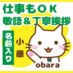 [OBARA]Polite greeting. animal Cat