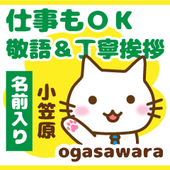 [OGASAWARA]Polite greeting. animal Cat