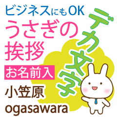 [OGASAWARA]Big letters. animal Rabbit