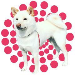 Idol ! Pearl princess stamp of my home