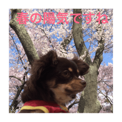 SUN_20190322225408