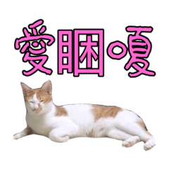 寶妹恩恩生活點滴