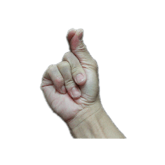 O dedo representa o número do gesto