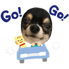 dodothedoggo2