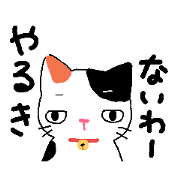 a cat with a bell