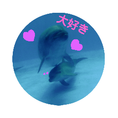 DolphinStamp