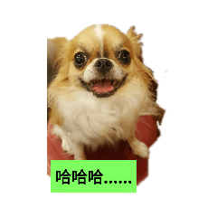 樂.co.嘟.果