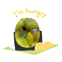 haruna20190323154045