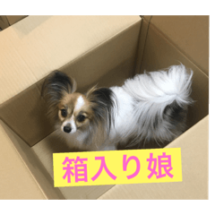 Kao_20190323215857