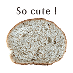 zenryufunpan 5 English Whole Wheat Bread