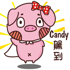 Coco Pig -Name stickers -Candy 2