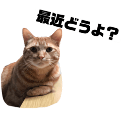 mochi_20190323213115