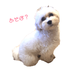 omochi_20190324124125